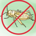 How to Get Rid of Common Indoor Pests