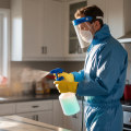 Protect Your Home: Essential Pest Control Tips For Orlando's Indoor Problems