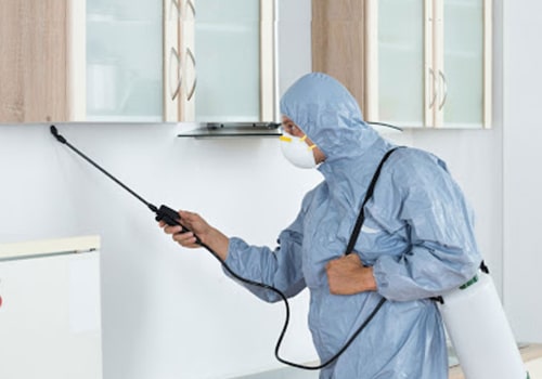 Dealing With Common Indoor Pests In Alberta: How Pest Control Services Can Help