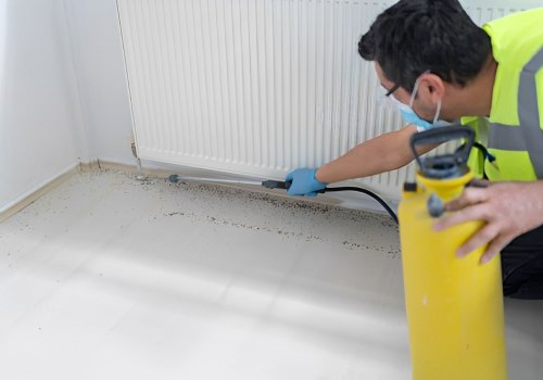 Combat Indoor Pests with Expert Pest Control in Holyoke